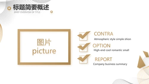 简约大气公司产品介绍宣传通用PPT