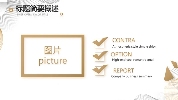 简约大气公司产品介绍宣传通用PPT