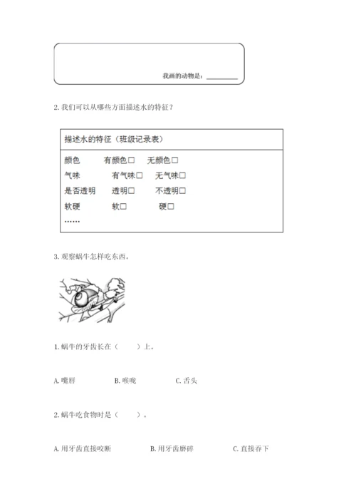 教科版小学科学一年级下册期末测试卷附参考答案【预热题】.docx