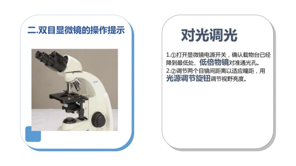 人教版（2024）七年级上册1.2.1 学习使用显微镜 课件(共29张PPT)