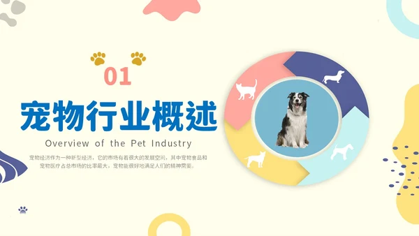 简约实图狗宠物经济行业前景分析报告汇报模板