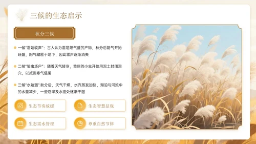 棕色系中国风秋分节气PPT模板
