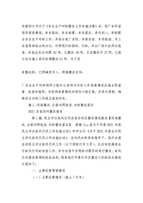 巡视整改,全面对照检查,对标整改落实