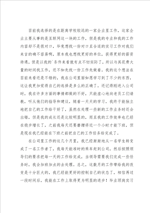 毕业顶岗实习总结集锦15篇