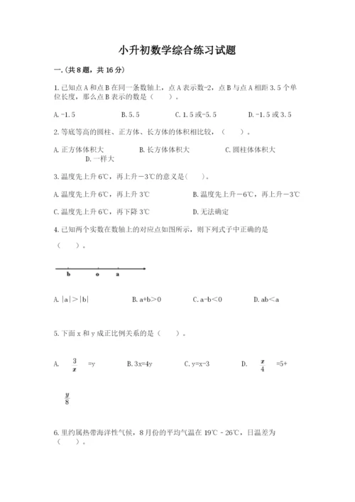 小升初数学综合练习试题带答案（模拟题）.docx