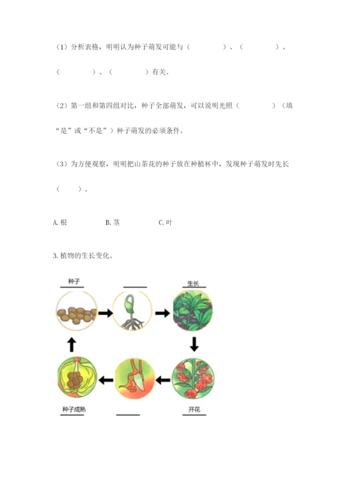 教科版科学四年级下册第一单元《植物的生长变化》测试卷精品【基础题】.docx