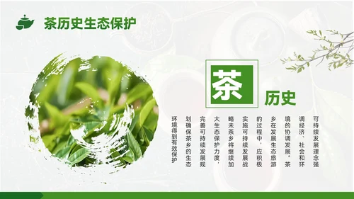 绿色质感风茶乡之旅的生态魅力PPT模板