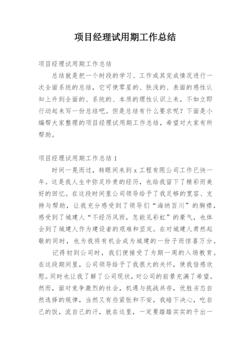 项目经理试用期工作总结.docx