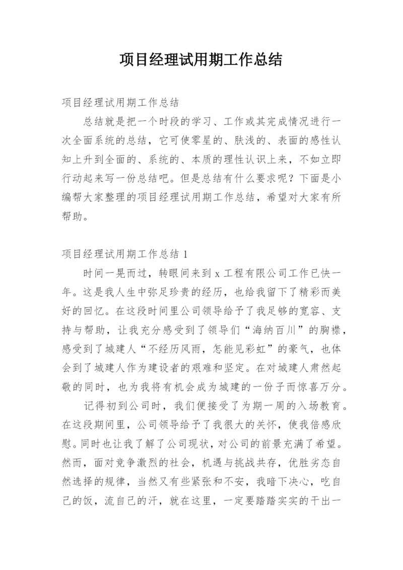 项目经理试用期工作总结.docx