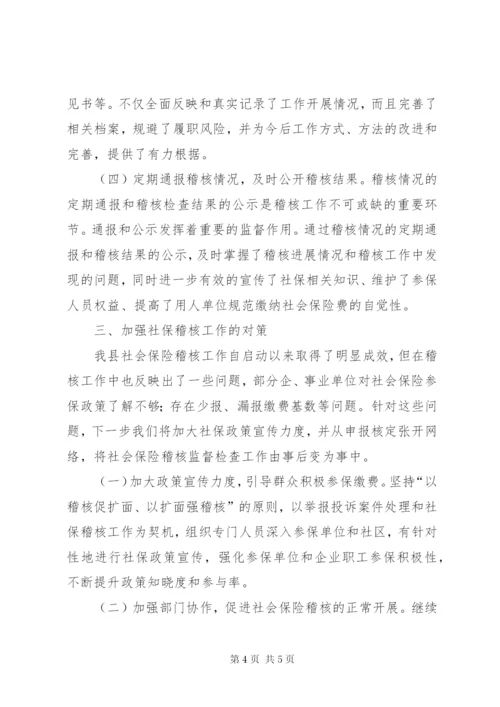 县社会保险稽核工作汇报.docx