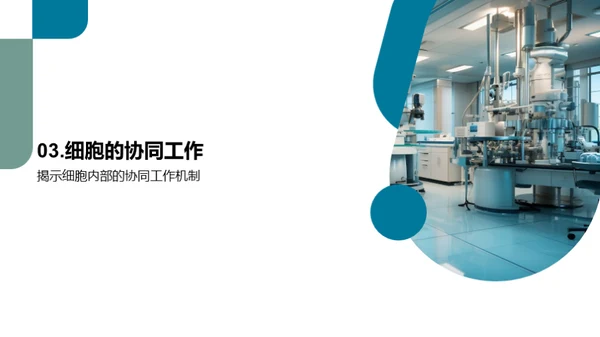 细胞学入门
