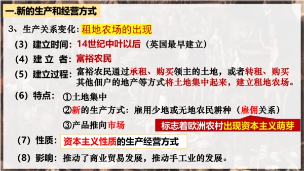 第13课  西欧经济和社会的发展  课件