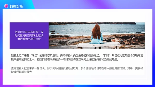 大数据时代下网红现象调查PPT模板