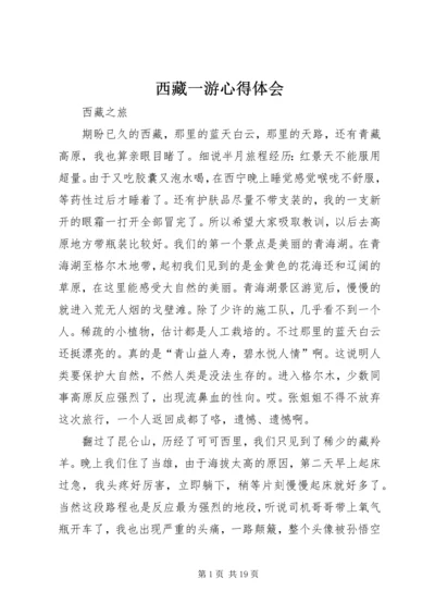 西藏一游心得体会 (2).docx