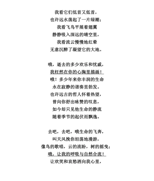 2024~2025学年九年级上册语文同步练习 第6课 我　看（部编版）