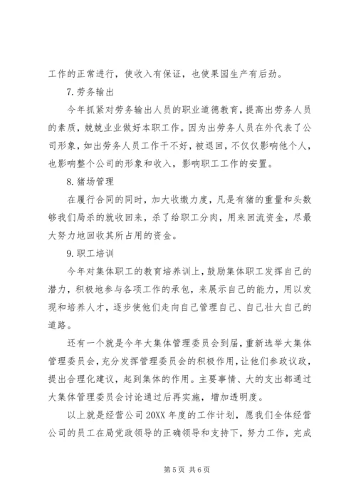 有关公司的年度工作计划.docx