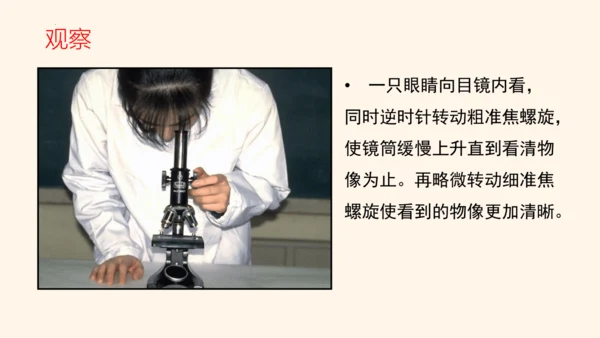 2.1.1练习使用显微镜课件2023--2024学年人教版生物七年级上册(共32张PPT)
