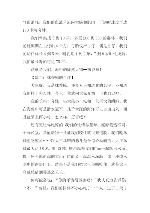 抹香鲸的自述500字.docx