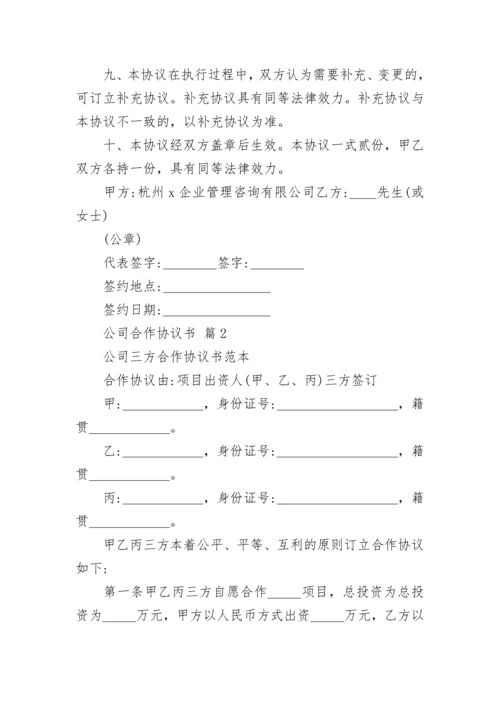 公司合作协议书.docx