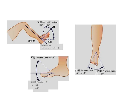 关节活动度记录方法