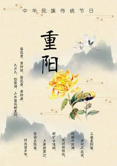 中国传统节日重阳节老人节海报