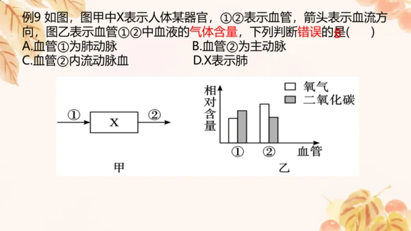 第四单元第四章人体内物质的运输 复习课件(共23张PPT)人教版七年级下册