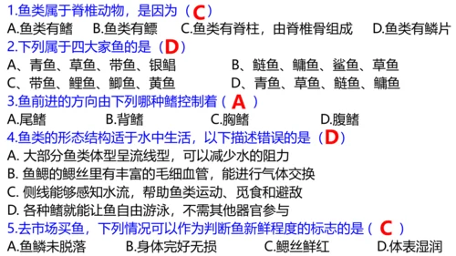 人教版生物八年级上册5.1.4《鱼》课件(共17张PPT)