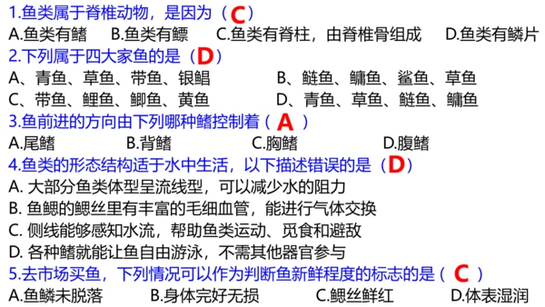 人教版生物八年级上册5.1.4《鱼》课件(共17张PPT)