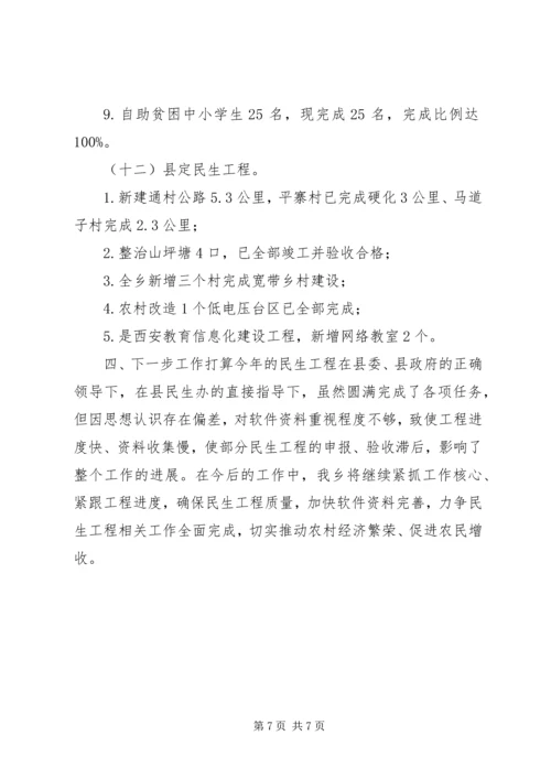 乡镇年度民生工程工作总结报告.docx