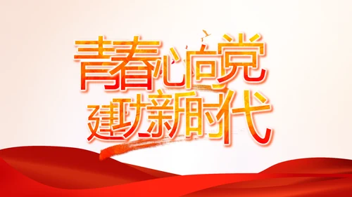 党建党支部年终工作总结汇报PPT党课