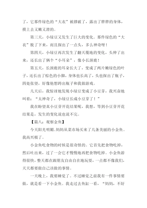小学四年级观察作文.docx