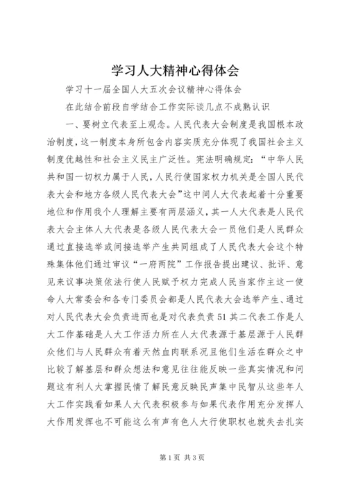学习人大精神心得体会.docx