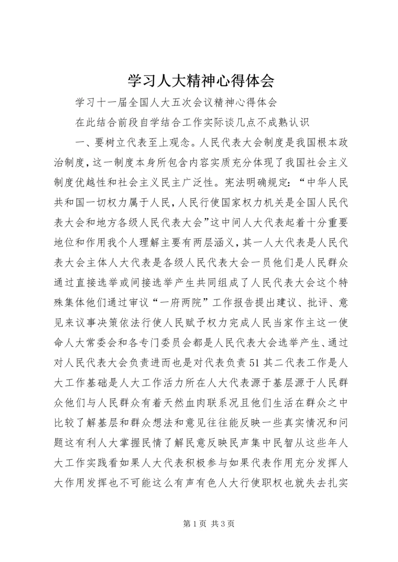学习人大精神心得体会.docx