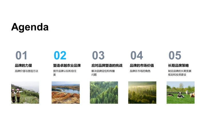 农业品牌成长之道