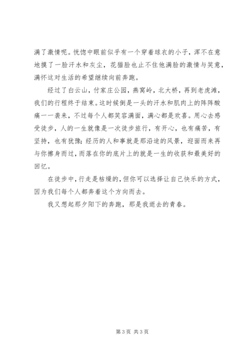 徒步大会心得体会.docx