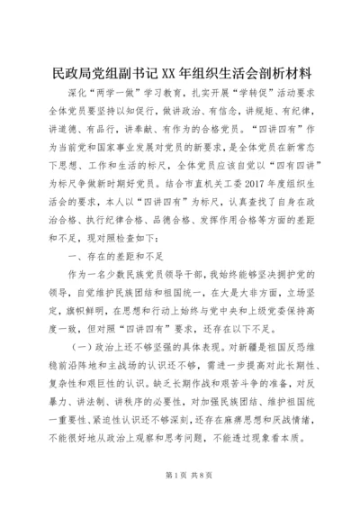 民政局党组副书记XX年组织生活会剖析材料.docx