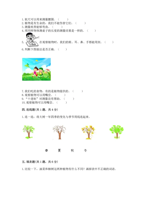 教科版一年级上册科学期末测试卷（中心小学）.docx