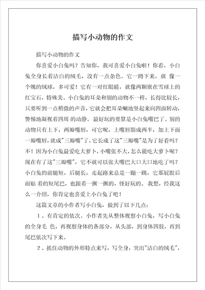 描写小动物的作文