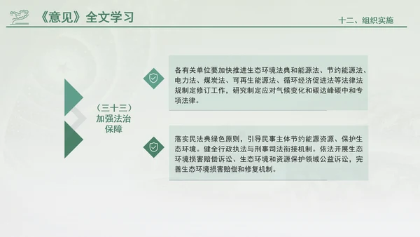 关于加快经济社会发展全面绿色转型的意见专题党课PPT