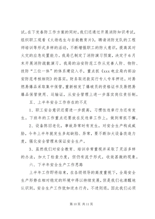 电业局上半年安全工作总结与下半年工作计划 (2).docx