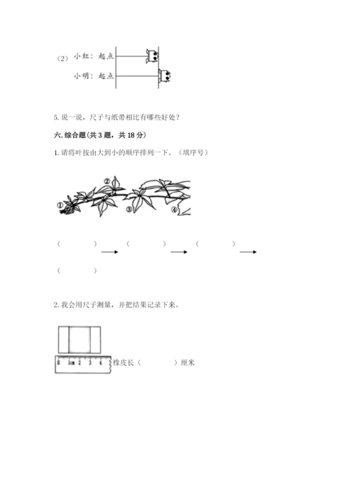 教科版一年级上册科学期末测试卷a4版可打印.docx