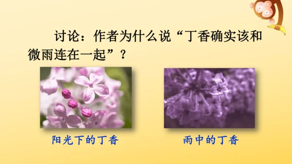 2 丁香结  课件