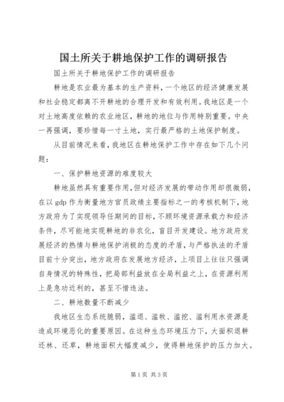 国土所关于耕地保护工作的调研报告 (4).docx