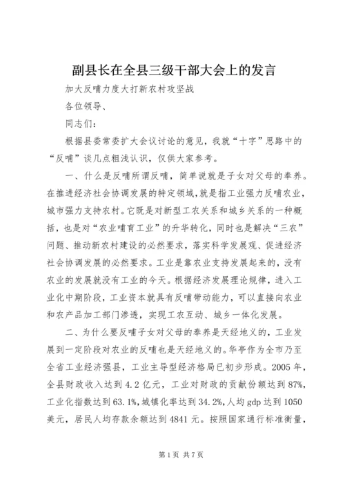 副县长在全县三级干部大会上的发言.docx