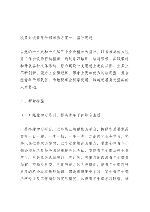 税务系统青年干部培养方案.docx