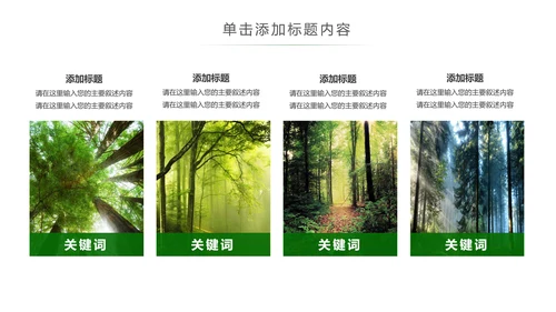 湿地森林世界湿地森林日植树造林动态PPT模板