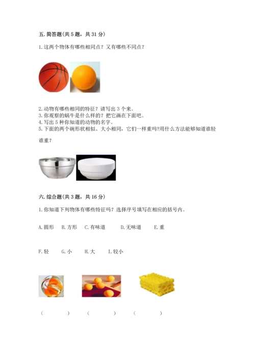 教科版一年级下册科学期末测试卷附答案（培优b卷）.docx