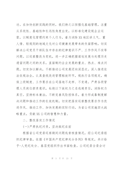 巡察整改工作主要负责人组织落实情况报告.docx