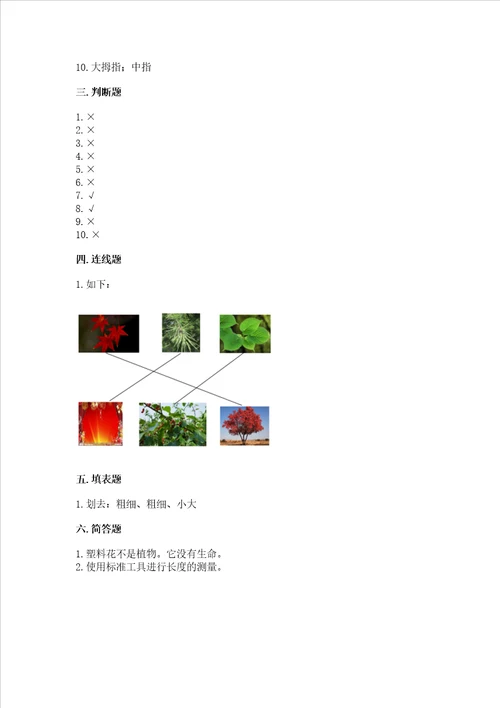 教科版小学一年级上册科学期末测试卷精品b卷
