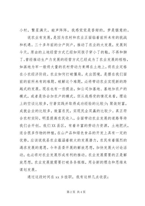 乡镇挂职锻炼心得体会.docx